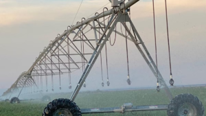 Si la Argentina impulsara más las exportaciones, podrían crecer casi US00 millones y generarse 27.000 empleos