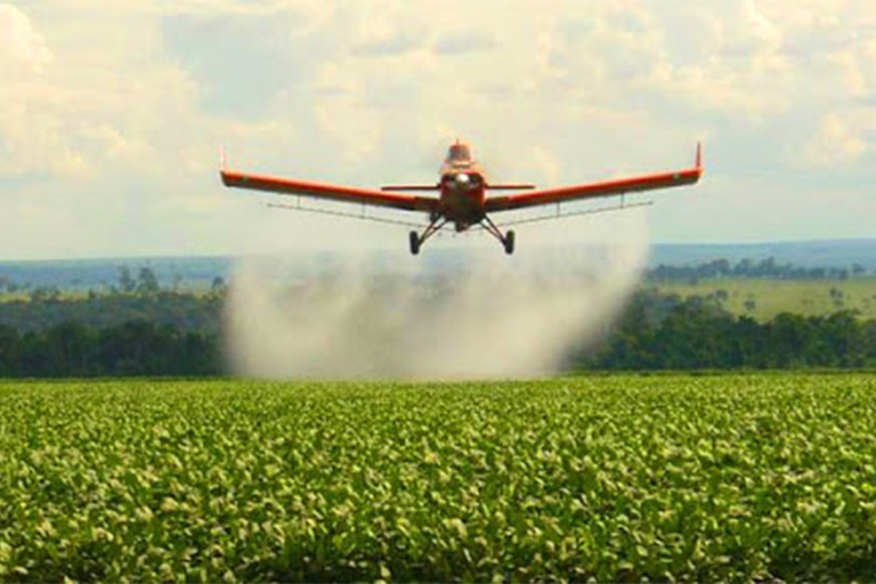Bolsa de Cereales llevó el caso al Superior Tribunal por amparos a fitosanitarios y advierte impacto productivo
