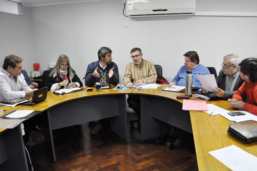 El Senado suma a los intendentes vecinalistas al debate