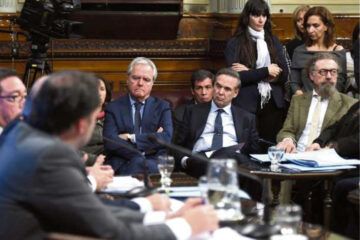 Reclaman en el Senado debatir en el interior el proyecto sobre el aborto (referencia a senador entrerriano)