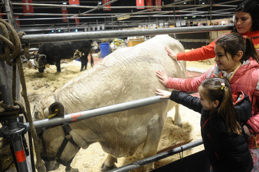 La Rural dejó de mostrar sólo el campo y ahora invita a un “viaje” por el interior del país (hay expositores de Entre Ríos)