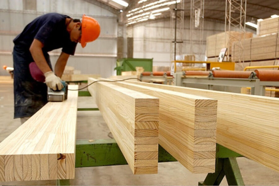 Madereros, en alerta por los incumplimientos de Nación y desplome de ventas internas (referencia a Entre Ríos)