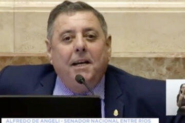 De Angeli dijo que vota en contra porque las mujeres no se lo pueden sacar más de la cabeza