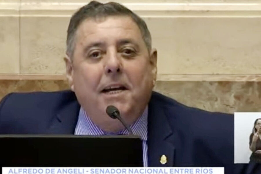De Angeli dijo que vota en contra porque las mujeres no se lo pueden sacar más de la cabeza