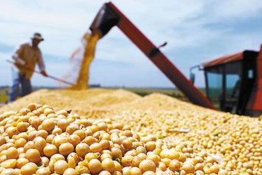 Entre Ríos dejará de recibir fondos de la soja