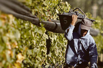 Economías regionales, en alerta por nuevos anuncios (declaración de dirigente entrerriano)