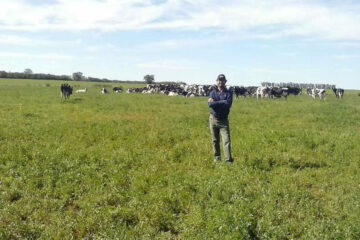 Entre el cierre y la venta forzada de vacas: el duro momento de muchos tambos (la realidad de un productor entrerriano)