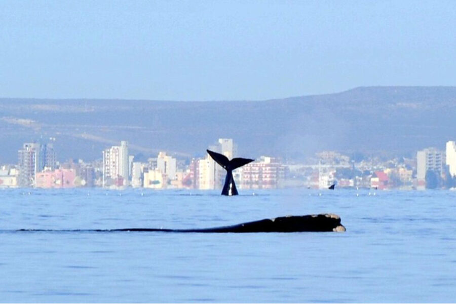 Feriado: la ocupación es alta y creen que es un anticipo de lo que será el verano (cifras de Entre Ríos)