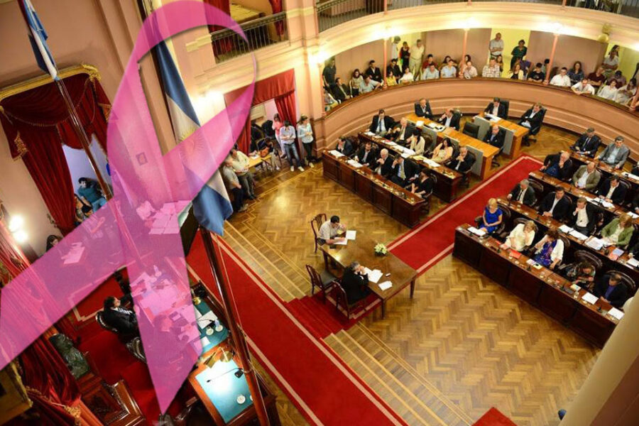 Proponen ampliar licencias de salud para mujeres en Entre Ríos