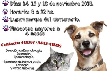 A vacunar las mascotas