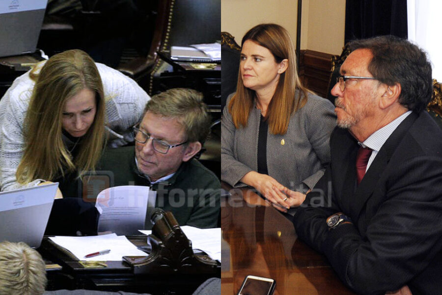 Guastavino y Kunath votarán por iguales motivos que Bahillo y Cresto