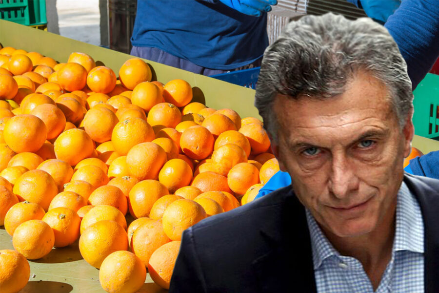 Citrus: desde Entre Ríos castigan a Macri y exigen emergencia