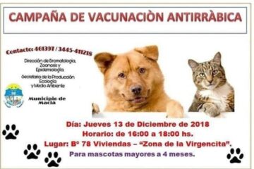Vacunación Antirrábica