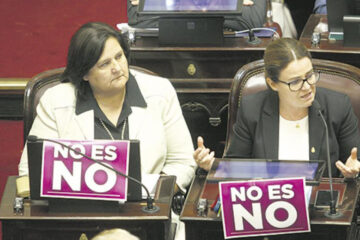 Obtuvo sanción definitiva la “ley Micaela”