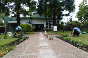 Tareas de jardinería en un edificio municipal