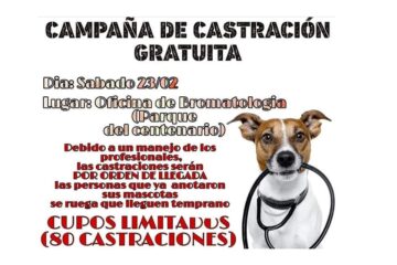 80 castraciones gratuitas disponibles