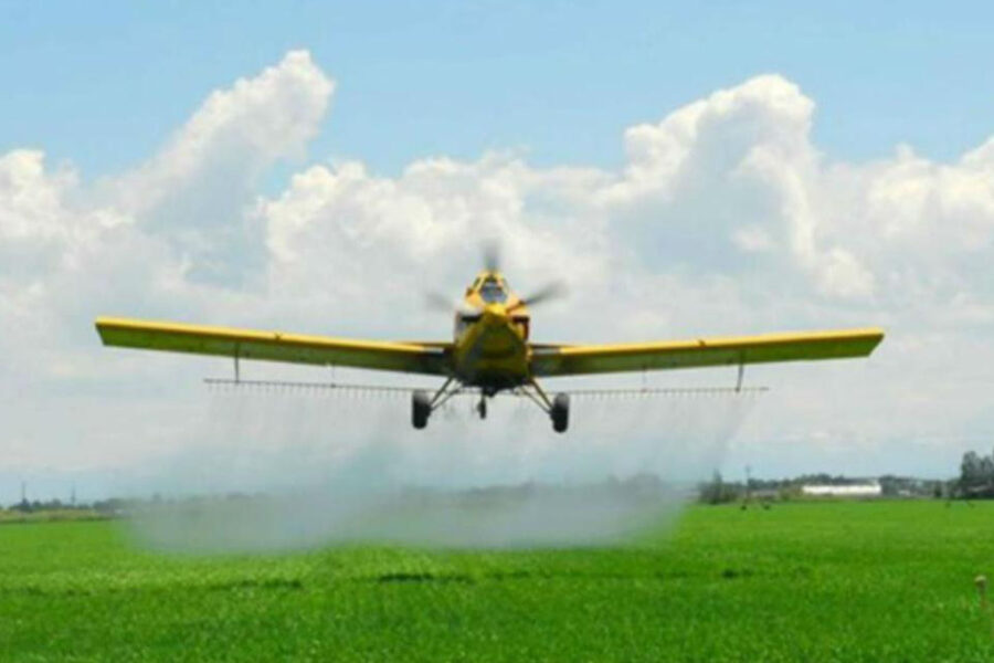 El campo fue a la justicia contra amparo de ecologistas