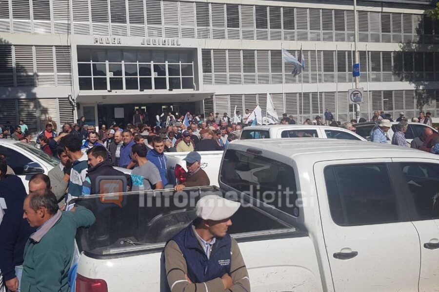 El fallo del STJ afectaría 300 mil hectáreas en Entre Ríos