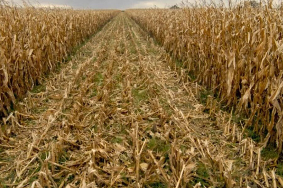 El Inmobiliario Rural subió un 45%