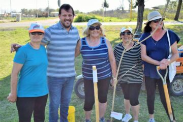 Plantaron árboles