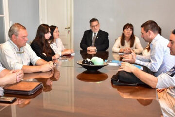 Programa Nacional de Desarme Voluntario