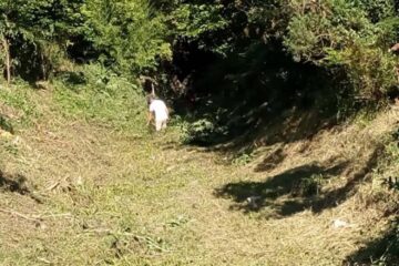 Limpieza en canales y desagües pluviales