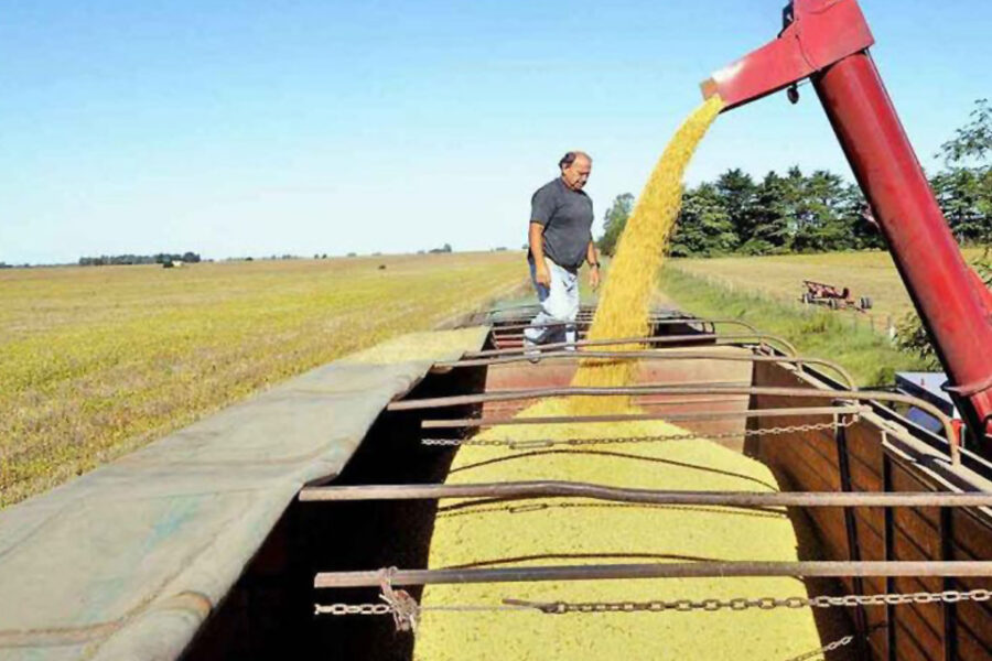 Grieta en el paro del campo: algunos productores se manifestaron en contra de la Mesa de Enlace (declaraciones de dirigente entrerriano)