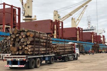 Madereros valoran baja del 5% y efecto en puertos entrerrianos