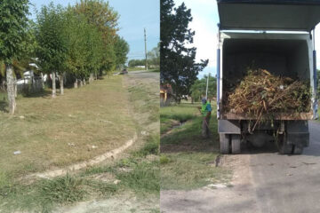 Desagotes y desmalezado