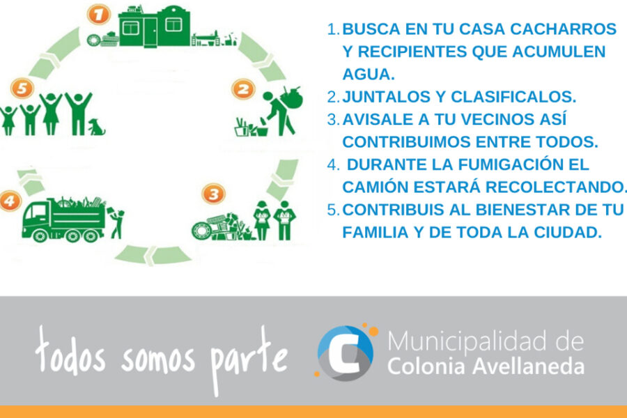 Tareas de fumigación y descacharrización