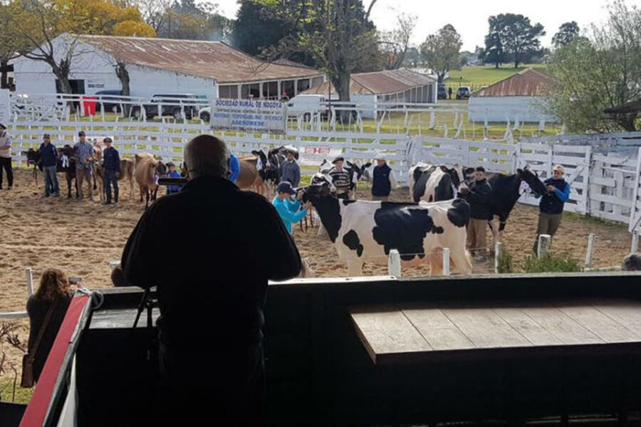 Amenazan con expropiar la Sociedad Rural de Nogoyá