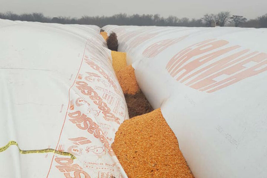 ¿Cuánto tiempo se puede usar el silobolsa antes de vender?