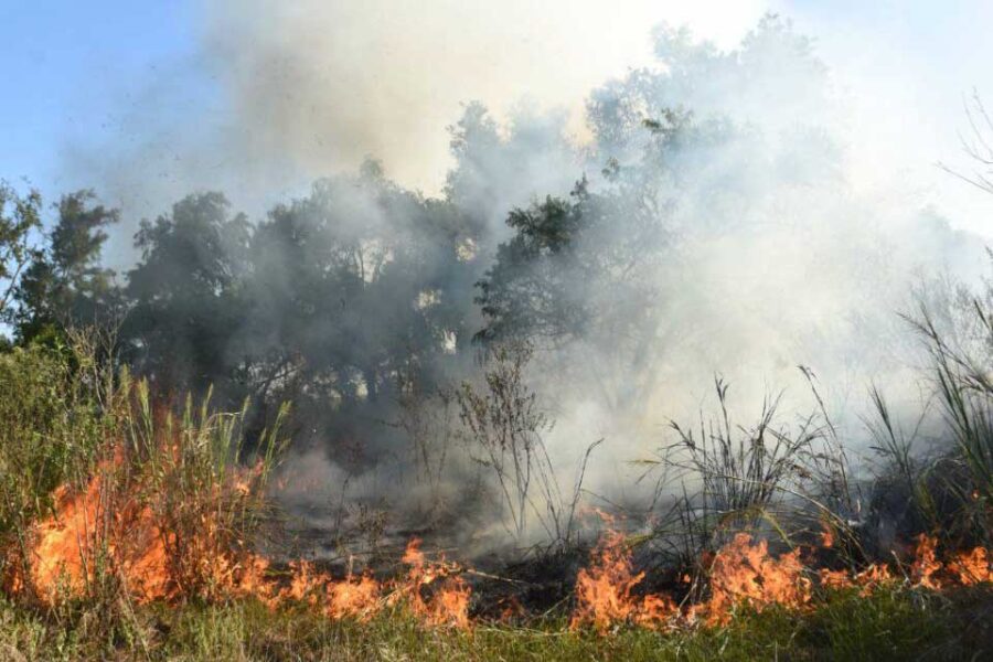 El HCD rosarino quiere sesionar en Entre Ríos: rechazo de Victoria
