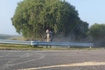 Desmalezado y limpieza en ingreso a la ciudad