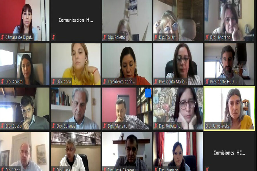 El género unificó al PJ y la UCR