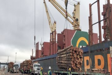 Nuevo operador logístico sumará más embarques