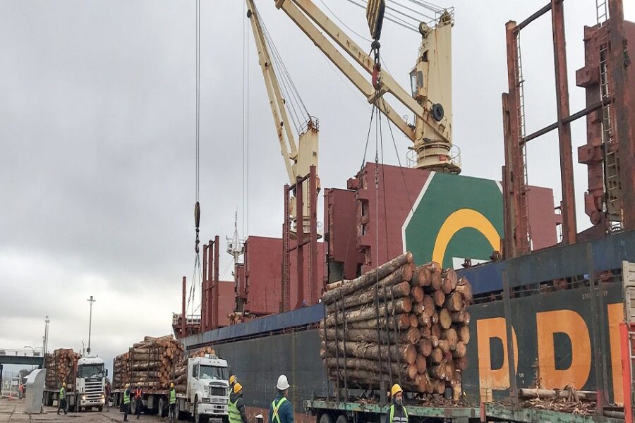 Nuevo operador logístico sumará más embarques