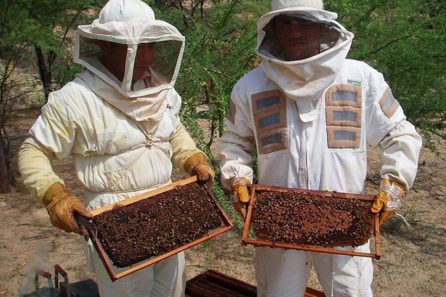 Entre Ríos fortalece la integración regional con Brasil