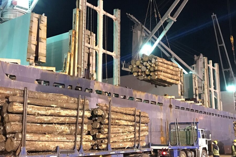 Entre Ríos exporta a más de 130 mercados en el mundo