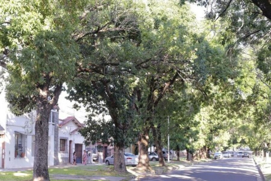 La Justicia rechazó el amparo de ecologistas por ensanche en Racedo