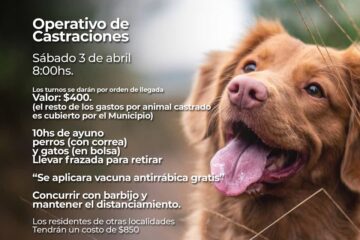 Operativo de castración y vacunación de mascotas
