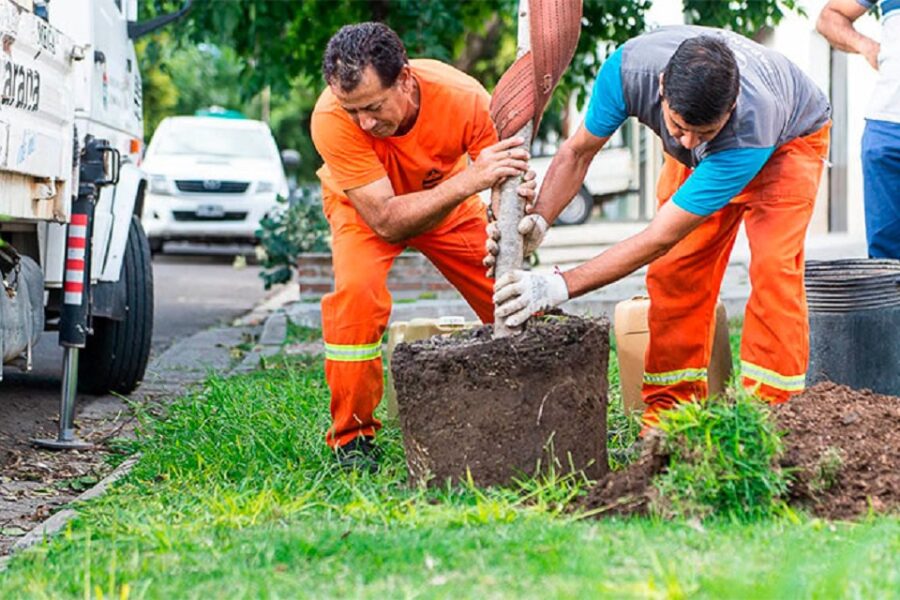 Inician la forestación por la obra de Racedo