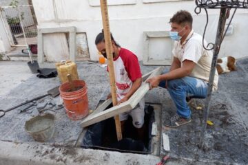 Dieron inicio al Plan de arbolado urbano