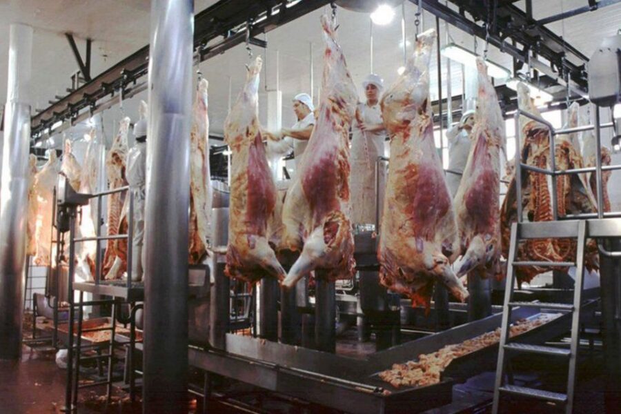 A partir de 2022 la carne se venderá troceada