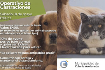 Continúa el operativo de castración de mascotas