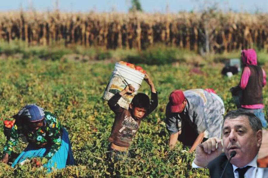 Trabajo Infantil: Una ley que hubiese comprometido a De Ángeli