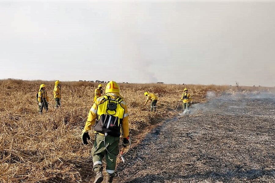 Combatieron focos de incendio en el Delta
