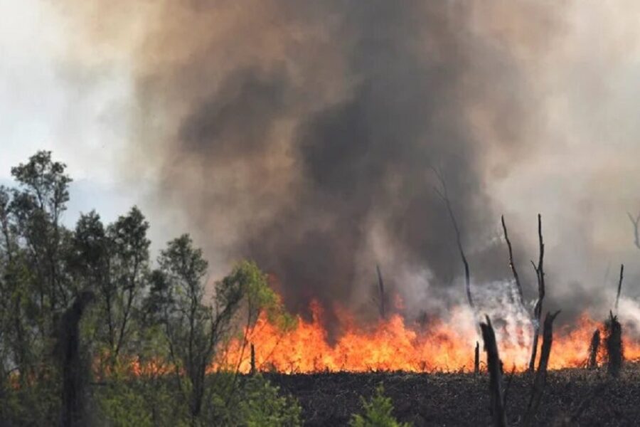 Intendentes entrerrianos en alerta por los incendios y la sequía