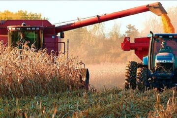 Aseguran que la renta agrícola en Entre Ríos es del 66%