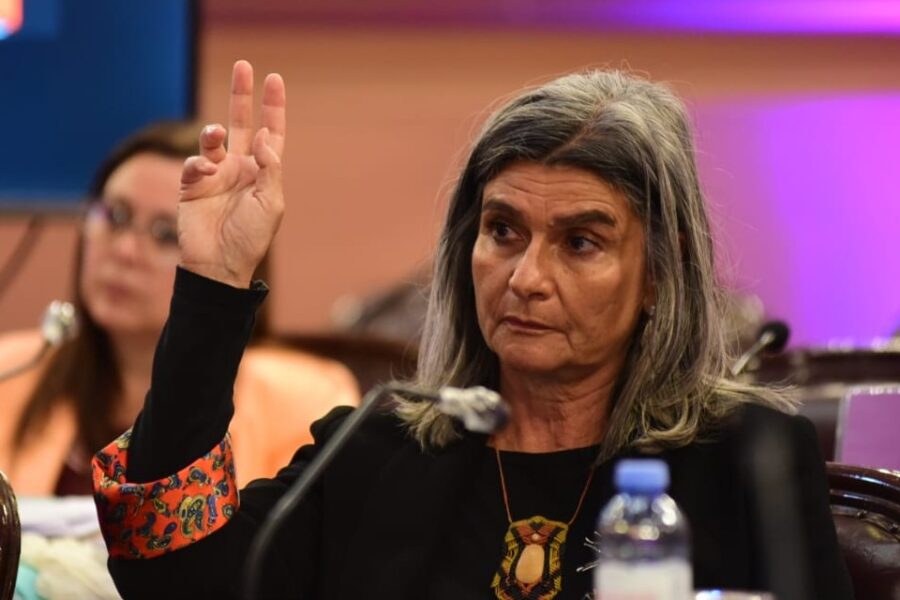 Diputada radical propone lo mismo que ya decretó Bordet